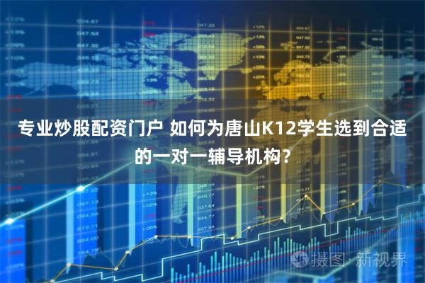 专业炒股配资门户 如何为唐山K12学生选到合适的一对一辅导机构？