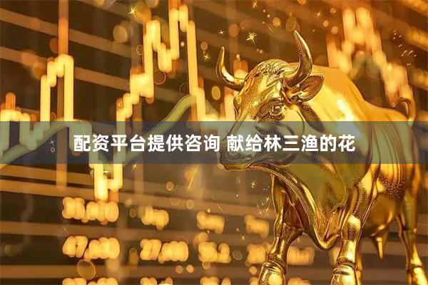 配资平台提供咨询 献给林三渔的花