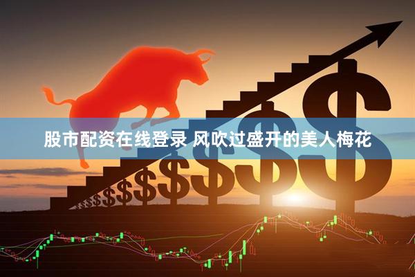 股市配资在线登录 风吹过盛开的美人梅花