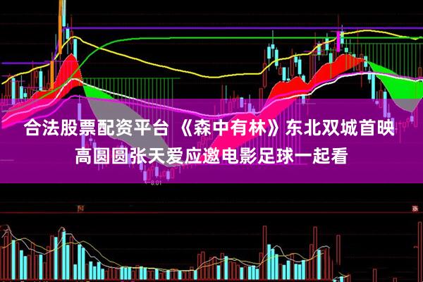 合法股票配资平台 《森中有林》东北双城首映 高圆圆张天爱应邀电影足球一起看